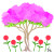 백일홍과 배롱나무
